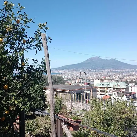 Il Limoneto *