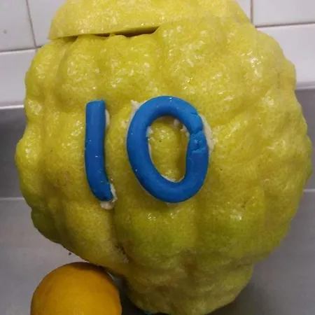 Il Limoneto Gragnano