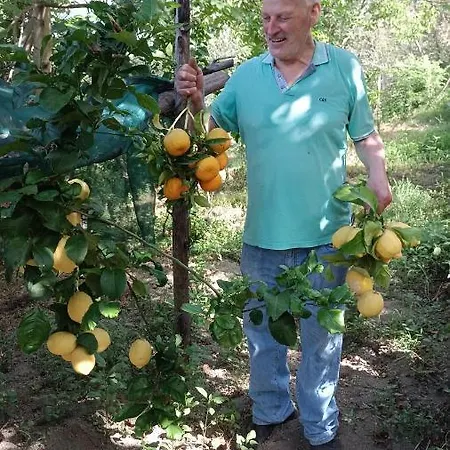 Il Limoneto * 그라냐노